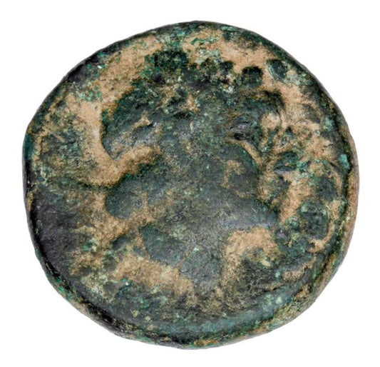 Braz 280-261 p.n.e. Antioch I Soter Grecja Seleucydzi Apollo