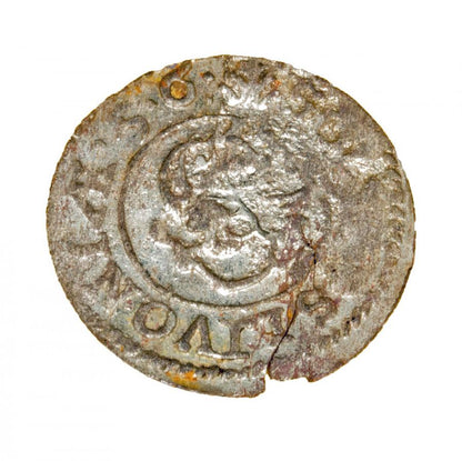 Szelag 1656 Gustaw II Adolf Liwonia
