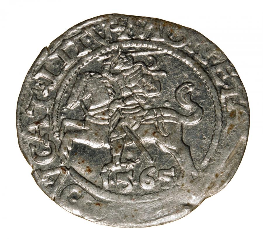 Pуlgrosz 1565 Zygmunt II August Wilno