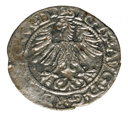 Pуlgrosz 1565 Zygmunt II August Wilno