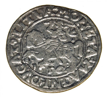 Pуlgrosz 1556 Zygmunt II August Wilno