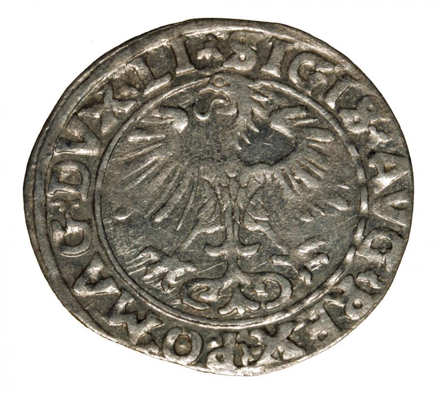 Pуlgrosz 1556 Zygmunt II August Wilno