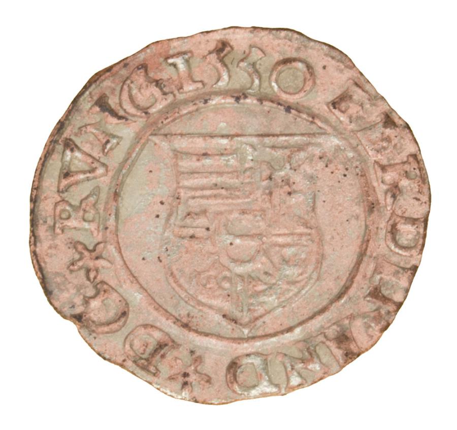 Denar 1555 Ferdynand I Habsburg Wegry