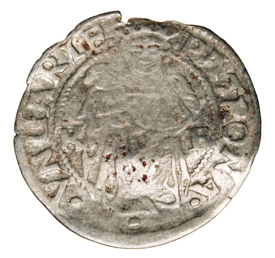 Denar 1534 Ferdynand I Habsburg Wegry Kremnica