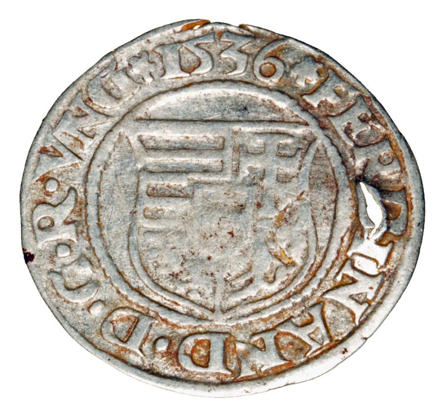 Denar 1536 Ferdynand I Habsburg Wegry Kremnica