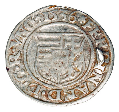 Denar 1536 Ferdynand I Habsburg Wegry Kremnica