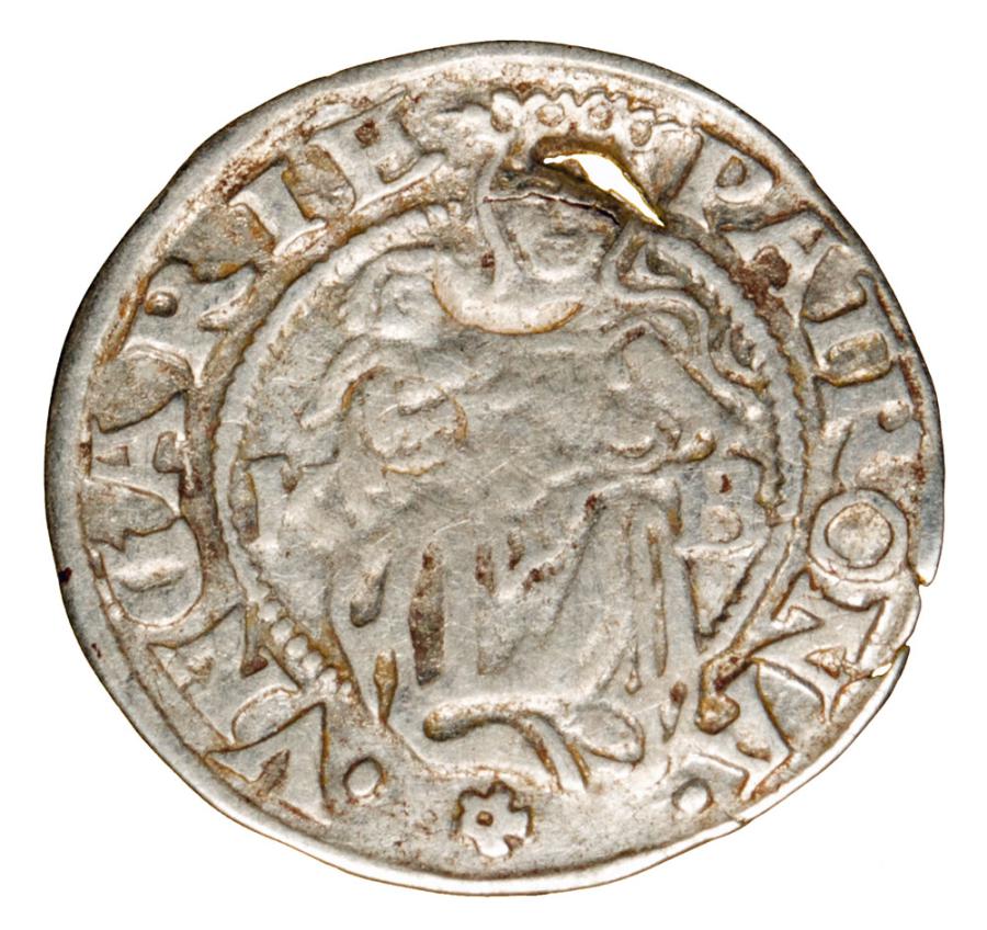 Denar 1536 Ferdynand I Habsburg Wegry Kremnica