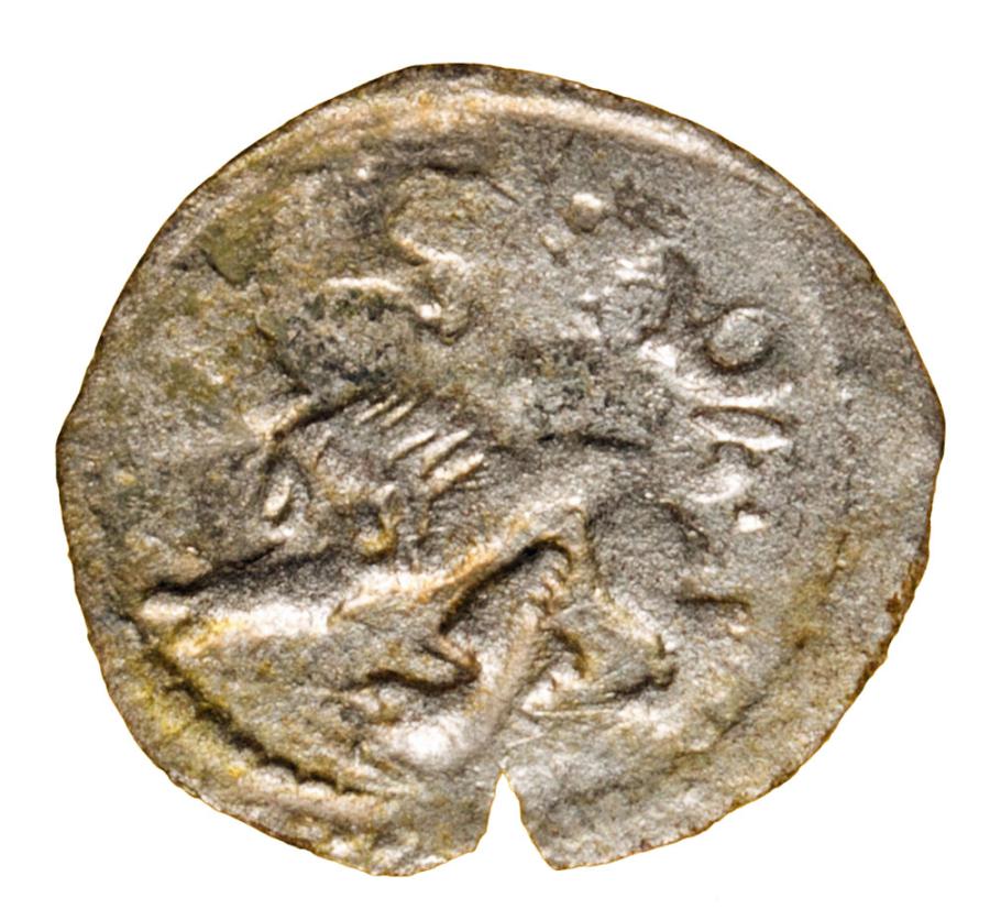 Halerz 1522-23 Ludwik I Jagiellonczyk Wroclaw