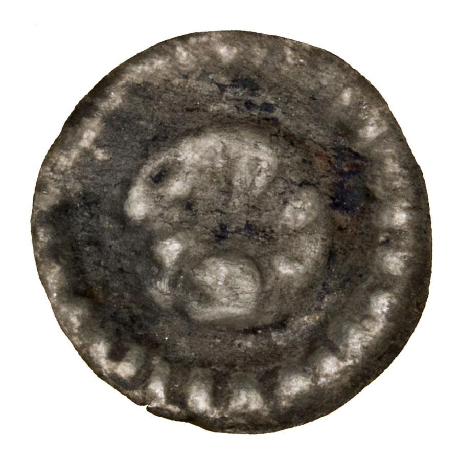 Brakteat 1233-1269 Gryf Sambor II Pomorze Gdanskie
