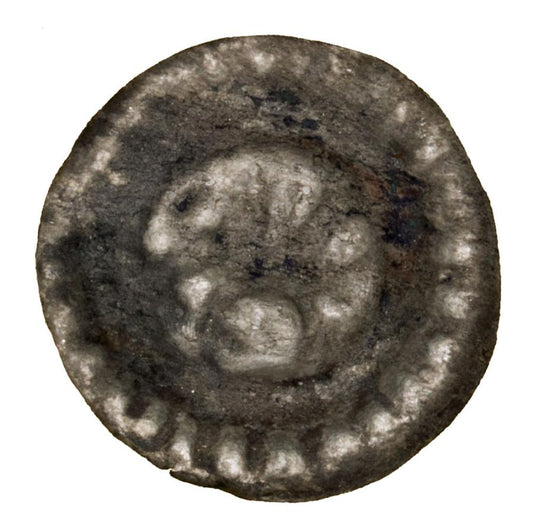 Brakteat 1233-1269 Gryf Sambor II Pomorze Gdanskie