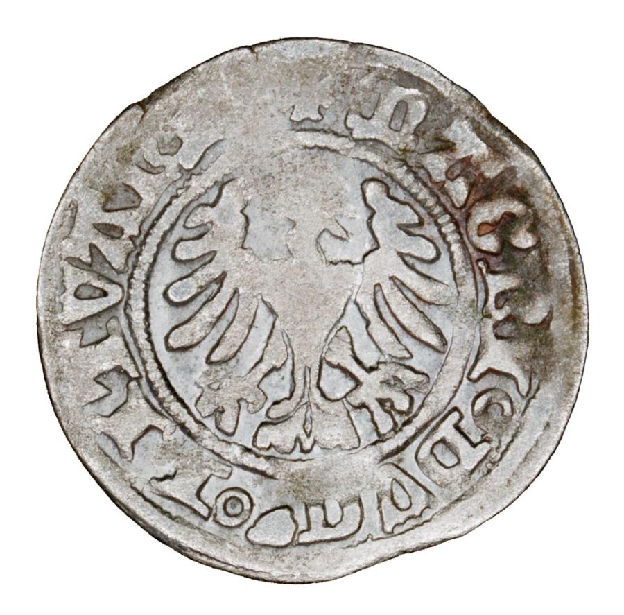 Pуlgrosz 1501-1506 Aleksander Jagiellonczyk Litwa Wilno