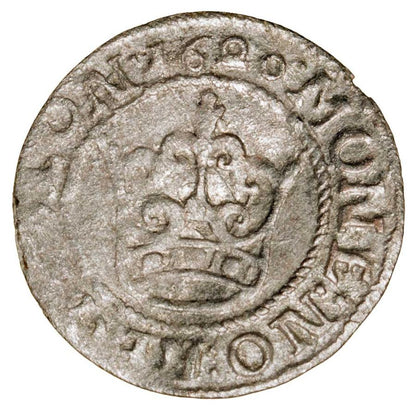 Pуlgrosz 1620 Zygmunt III Waza Polska Bydgoszcz