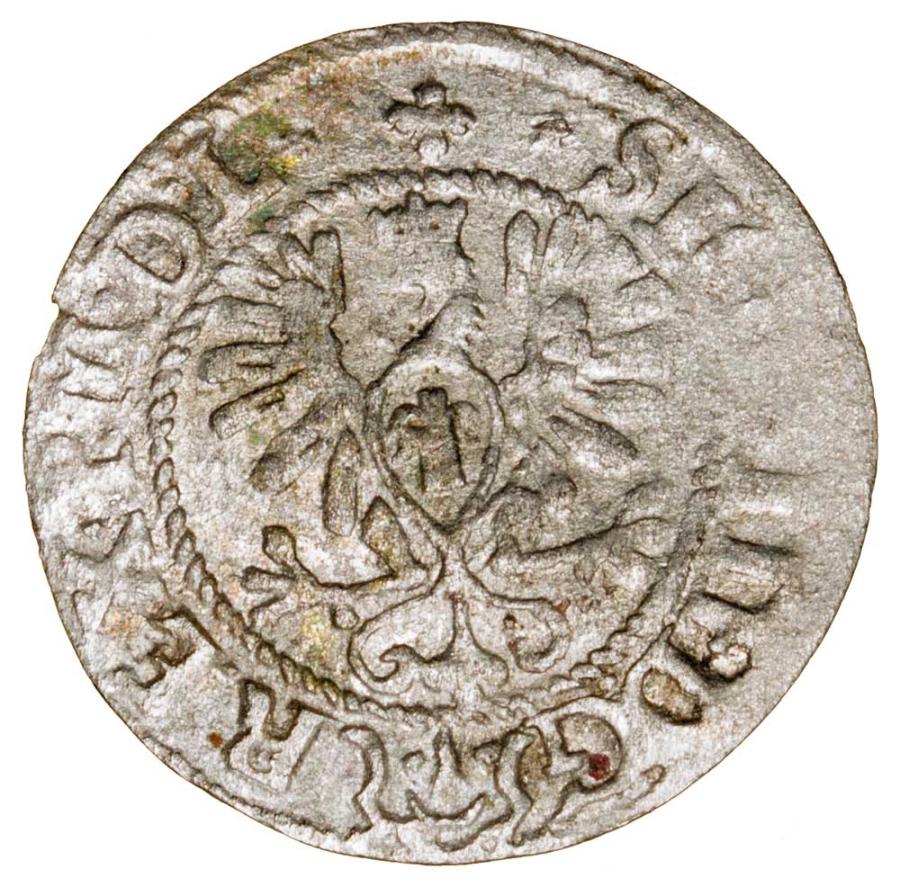 Pуlgrosz 1620 Zygmunt III Waza Polska Bydgoszcz
