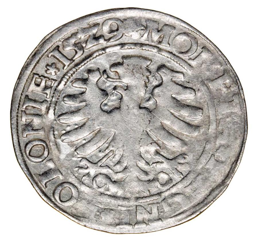 Grosz 1529 Zygmunt I Stary Polska Krakуw