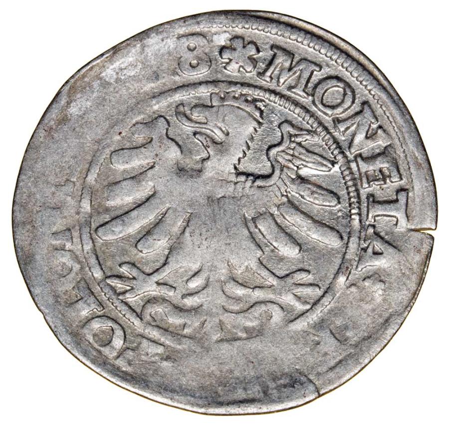 Grosz 1528 Zygmunt I Stary Polska Krakуw