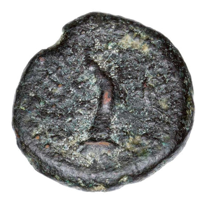 Braz Grecja Dekapol Tyche