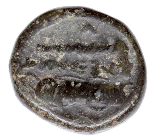 Braz 336-323 p.n.e. Grecja Macedonia Herakles