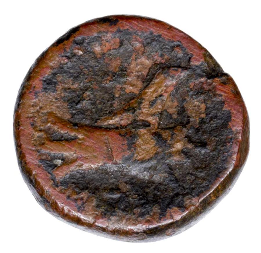 Braz IIw p.n.e. Grecja Fenicja Arados Zeus