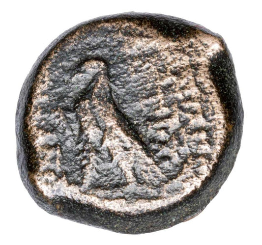 Braz 121-96 p.n.e. Antioch VIII Grypos Grecja Seleucydzi
