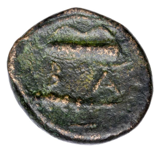 Braz 336-323 p.n.e. Aleksander III Macedonski Grecja Aleksandria Herakles