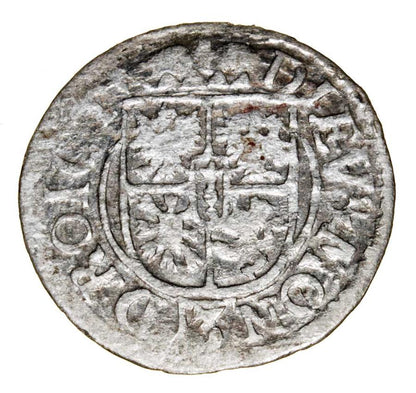 Szelag 1623 Jerzy Wilhelm Ksiestwo Pruskie Krуlewiec